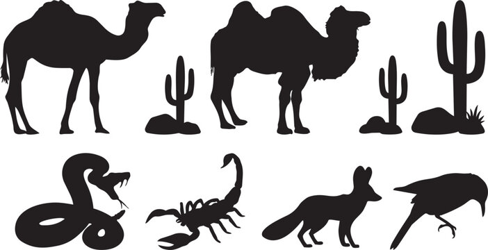 Desert Dweller Silhouette Collection