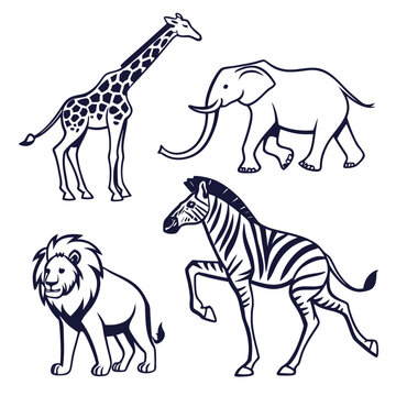 Black and white animal giraffe elephant lion zebra