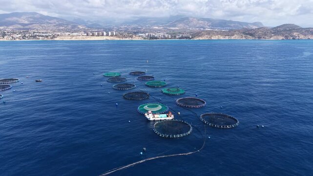 Aerial view of offshore aquaculture facility with multiple circular fish farming cages floating in deep blue Mediterranean Sea near Spanish coastline with mountains