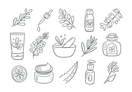 Collection of 15 natural cosmetics icons featuring different types of jars and bottles for creams, essential oils, soaps, and more, as well as plants commonly used in the production of these products.
