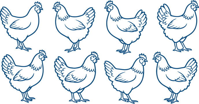 Set of Eight Illustrated Chickens in Different Poses