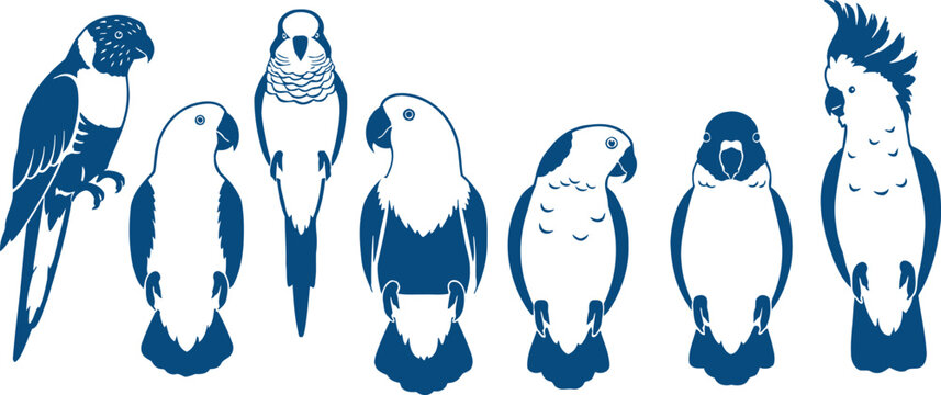 Illustration of Various Parrots in Blue Silhouette