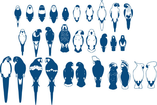 Collection of Stylized Bird Silhouettes