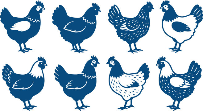 Vector Set of Decorative Chicken Illustrations