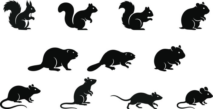 Silhouette collection of squirrels, beavers, rats, and mice showing diverse rodent shapes, tails, and natural anatomy for wildlife design use