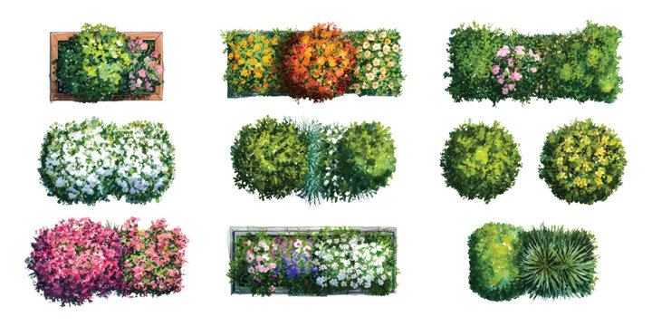 Watercolor set of top view flower beds bush,  landscape architectural maps plan environmental elements isolated on transparent background