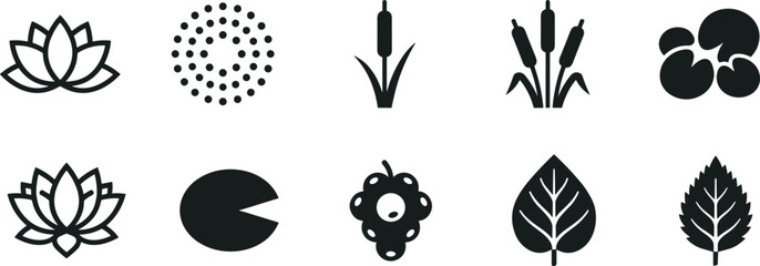 Botanical nature icons set, lotus cattail lily pad berry leaf vector, aquatic plant design, floral illustration - flat vector illustration © TOMSINA