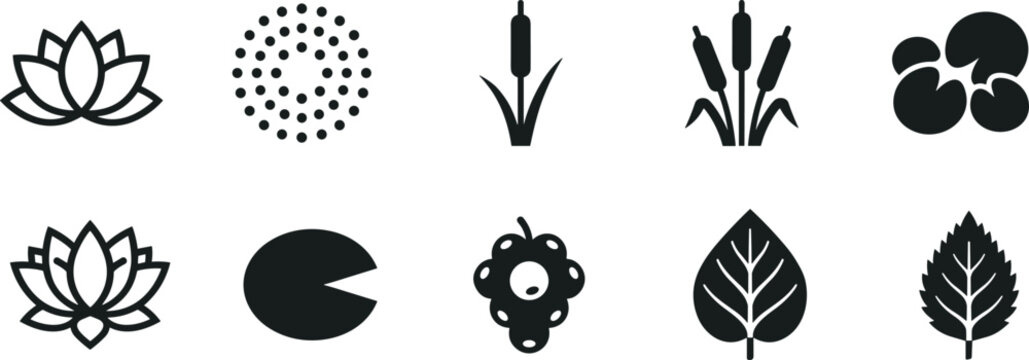 Botanical nature icons set, lotus cattail lily pad berry leaf vector, aquatic plant design, floral illustration - flat vector illustration