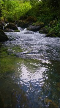 Turbulent waters of a small mountain stream. Ariege Pyrenees France