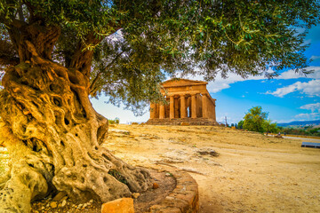 Obraz premium Agrigento valley with ancient greek ruins, Sicily island, Italy
