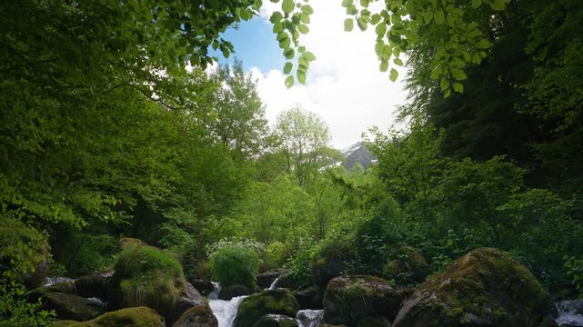 Turbulent waters of a small mountain stream. Ariege Pyrenees France