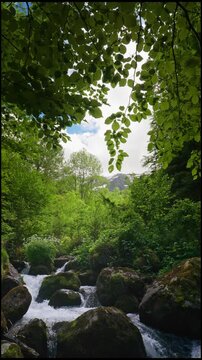 Turbulent waters of a small mountain stream. Ariege Pyrenees France