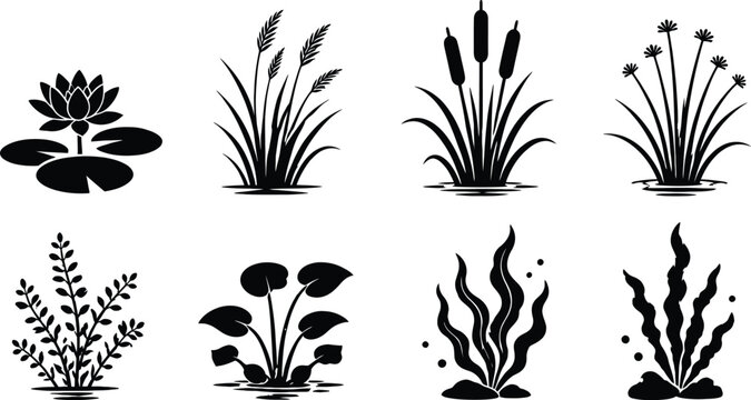 Aquatic plant silhouettes collection isolated on white background botanical illustration set