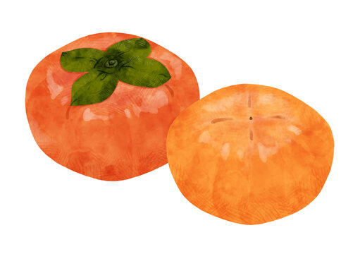 水彩風日本の柿のイラスト・2個セット / Watercolor Japanese persimmon illustration set isolated