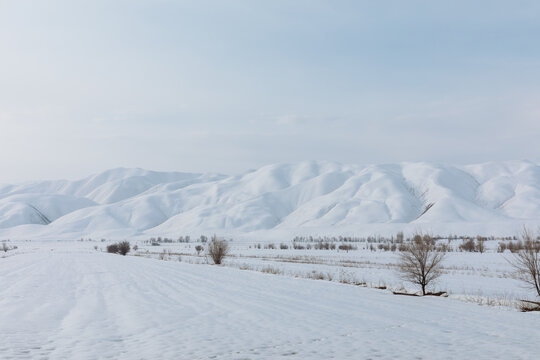 Wide winter panorama of snow-covered mountains and open valley with scattered leafless trees under pale sky near Toktogul, Jalal-Abad Region, Kyrgyzstan