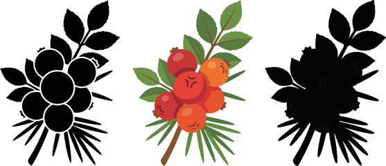Collection of stylized berry branches and their silhouettes for graphic design © MSTSENOARA