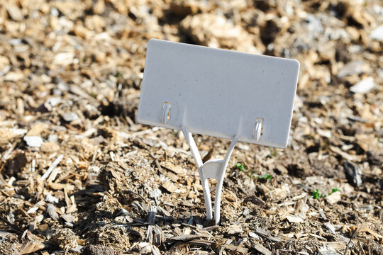 Field mulching with sawdust or woodchips with white signs to indicate future shoots, organic farming, measures to maintain plant health, reducing weed, soil productivity