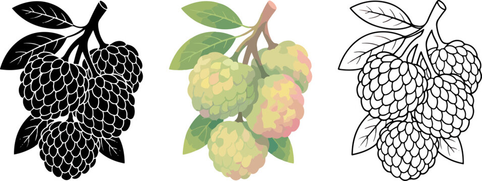 Collection of three stylized illustrations of cherimoya fruit branches with leaves