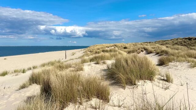 sand dunes and dune grass near the sea on the island Sylt