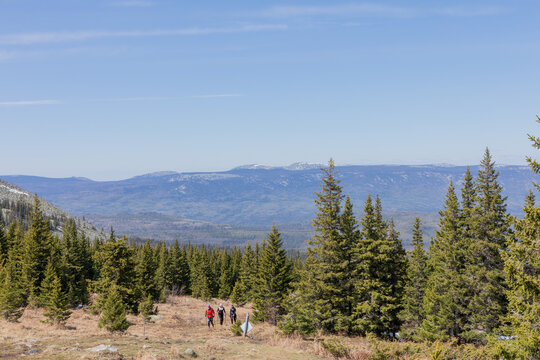 Wide landscape view of hikers walking along a mountain trail on Big Iremel near Tyulyuk village, Republic of Bashkortostan, Russia, with conifer forest and blue sky