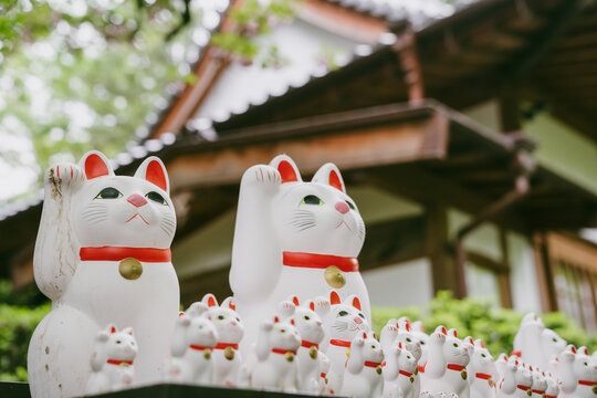 Gotokuji Temple aka Lucky Cat is located in Gotokuji 2-chome, Setagaya-ku, Tokyo. Soto Zen temple