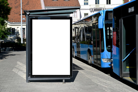 blank poster sign panel bus shelter. billboard mockup display. white lightbox sign in bus stop. digital panel. city transit station. urban street. park setting. outdoor advertising