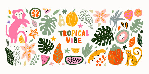 Tropical illustration with monkey leaves and fruit on white background © Tasnim