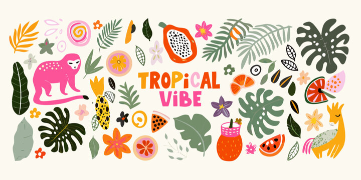 Tropical jungle illustration with plants animals and fruits