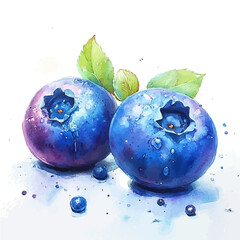 Blueberry, whimsical watercolor vector illustration with vibrant highlights and delicate strokes, isolated on a white background. © skynora
