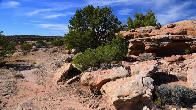 A desert Landscape of Canyon de Chelly National Monument. The area features hardy desert brush and small trees