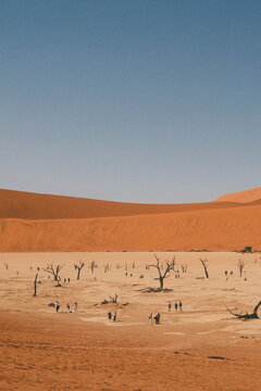 sand dunes in namibia