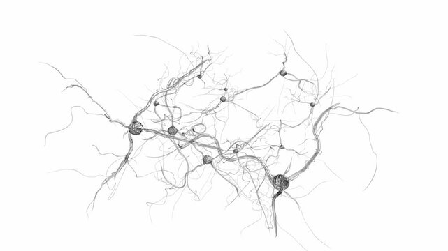 Conceptual 3D illustration of a neural network with nodes and branching connections on a clean white background representing artificial intelligence and biology