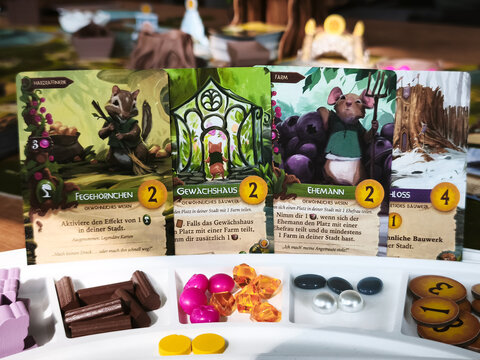 Dortmund - Deutschland 10. Mai 2026 Brettspiel Everdell Spielkarten 