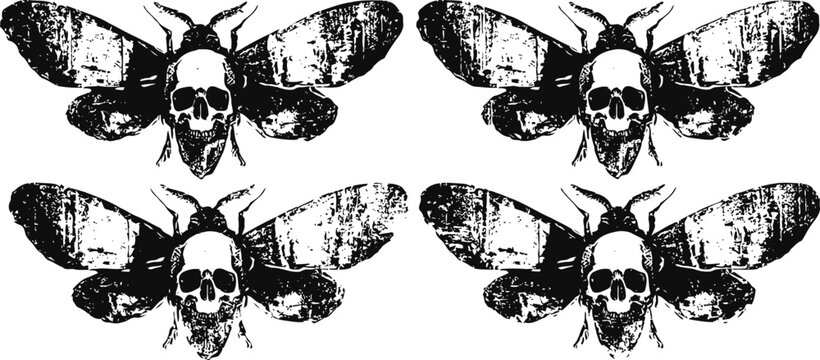 Four black and white death's head hawkmoths with skull patterns on wings on a white background