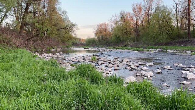 Static shot of peaceful spring river flowing through green forest landscape with rocks, fresh grass and trees, tranquil countryside nature scene in soft daylight atmosphere.