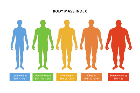 Body mass index. Silhouettes of color male bodies with varying degrees of obesity, with their body mass index indicated. Vector illustration in flat style isolated over white background.
