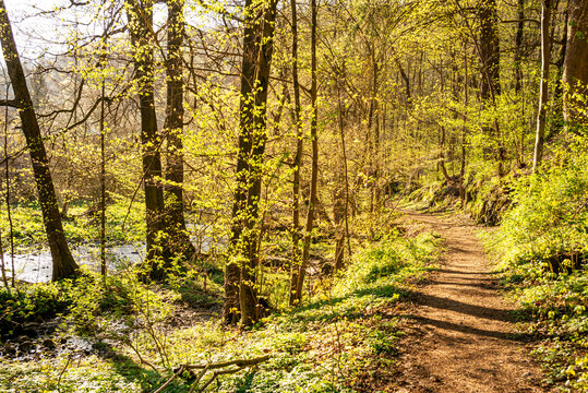 Naturidylle auf dem Harzer Hexenstieg