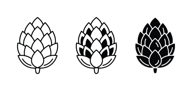Hop Cone Icons, Vector Set: Outline, Filled Outline, Solid Black for Brewing and Craft Beer