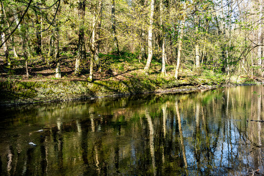 Fr&uuml;hling im Wanderparadies Harz