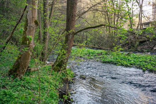 Wanderung entlang der Bode