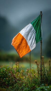 Irish flag waving in windy field with clover border