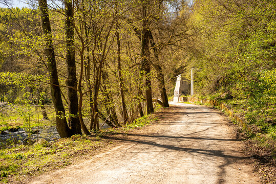 Wanderweg im Fr&uuml;hling durch den Harz