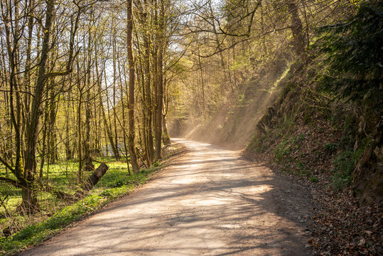 Wanderweg durch die Fr&uuml;hlingslandschaft bei Treseburg