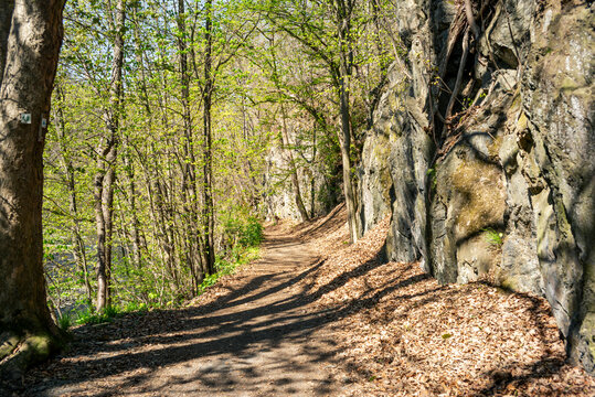 Saftige gr&uuml;ne W&auml;lder im Bodetal
