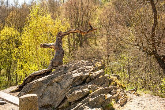 Sonnenklippe Bodetal Harz 