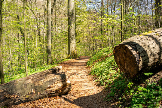 Ruhe und Natur im Tal der Bode
