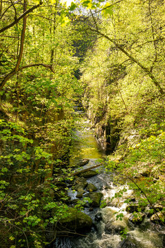 Naturerlebnis im Harz mit Blick auf die Bode