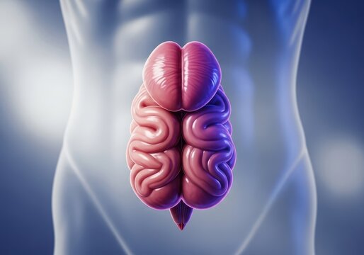 Detailed view of the anatomy of a firm, erect male organ. High contrast image emphasizing potency, health, and arousal, medicine, focus, sensitivity