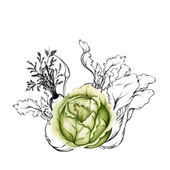 a bright set of vegetable elements © Darya