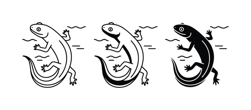 Salamander Icons, Amphibian Vector Art, Reptile Graphics, Wildlife Illustrations, Black and White Designs